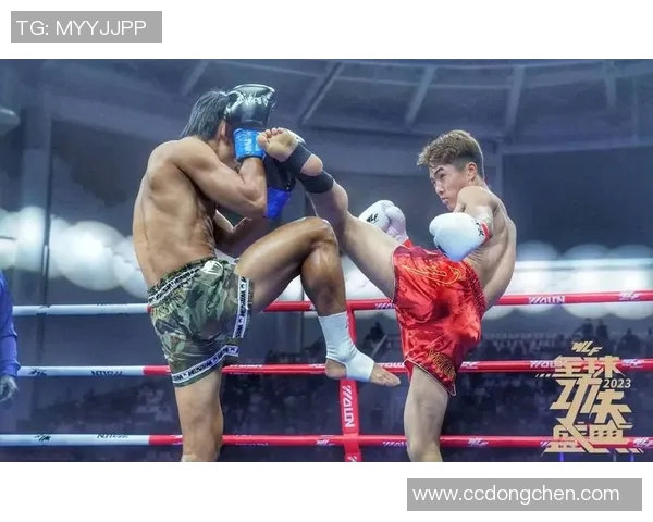 张展瑜与赵强激烈对决谁将成为新一代的搏击王者